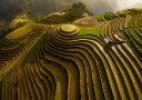 Golden Terraced Mountains Plakat / 70x100