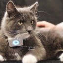 Lilcat Lilcat Gps 2.0