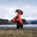 Non-stop Dogwear Fjord Oransje Hundeoverall 45 cm