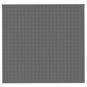 Vidaxl Vektdyne grå 220x230 cm 11 kg stoff