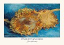 Sunflower by Van Gogh plakat Plakat / 100x150cm