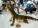 Collecta Crocodile Figure