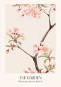 Blooming Apricot Branch Plakat Plakat / 100x150cm