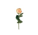 Rose snittblomst peach OUTLET
