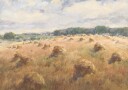 Maryland Wheat Fields Landscape Plakat Plakat / 30x40cm