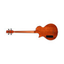 Ltd Tl-4 Natural Gloss