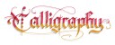 Faber-Castell - Pitt Artist Pen Calligraphy India ink pen, set of 8 (167508)