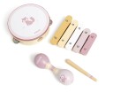 VIGA Polar B Instrument Musikksett Rev