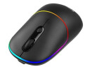 Tracer RATERO - mouse - RF 2.4 GHz - black - Mus - Optisk - 4 - Svart