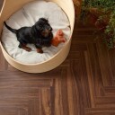 Alloc Berryalloc Laminatg Chateau+ B Walnut Brown
