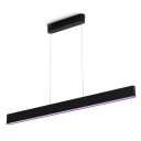 Philips Hue WCA Ensis Pendellampe 2x39W Sort - 60672