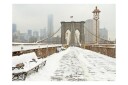 Fototapet Snowy Bridge New York 200x154 - Artgeist sp. z o. o.