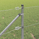 Sveiset Trådgjerde med 13 Spikerstolper 0.8x50 m Galvanisert Stål