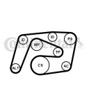 CONTITECH 6PK2260WP3 Vannpumpe + kileremsett