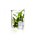 Kure Bazaar Nail care Super Base