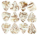 Fender Abalone Pick Medium