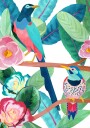 Birds of Spring Plakat Plakat / 30x40cm