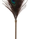 Taboom Bondage Taboom: Dona, Peacock Tickler