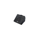 Laney Dh40 Drumhub 40w