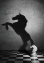 The soul of a mustang Plakat / 100x150cm