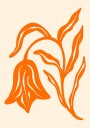 Orange Tulip Poster Plakat / 30x40cm