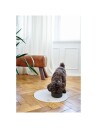 Hunter Dog Bowl Ceramic Osby 1900 ml