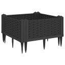 Plantekasse med plugger svart 42,5x42,5x28,5 cm PP