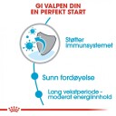 Royal Canin Maxi Puppy Tørrfôr 4 kg til Valp
