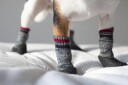Gummierte Hundesokker Sort 4Pk