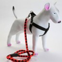 3 Delers Selesett Til Hund: Sele/Halsbånd/Kobbel
