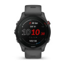 Garmin Forerunner 255 Slate Grey