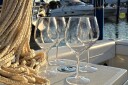 Clubhouse vinglass i plast 51 cl - Tritan