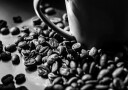 Coffee Beans With A Cup Plakat Plakat / 30x40cm