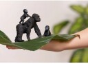 Schleich Gorilla Familie Dyrefigursett av Plast 7,1 cm