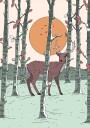 Deer In The Forest Plakat Plakat / 50x70cm