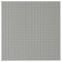 Vidaxl Vektdyne grå 200x200 cm 9 kg stoff