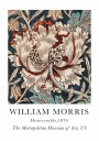 William Morris Honeysuckle Plakat Plakat / 100x150cm