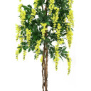Europalms Wisteria, Yellow, 180cm