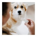 Bellylabs Drektighetstest Til Hund