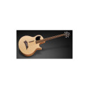 Warwick Alien 4 NT