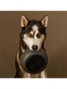 District 70 Bamboo Dog Bowl Medium Dark Grey (871720261396)