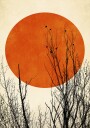 Winter Glow Plakat Plakat / 70x100cm