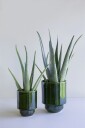 Bergs Potter Hoff Krukke Uten Dreneringshull 14 cm Emerald Green