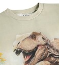 Molo T skjorte   Riley   Bladrike Rex   Molo   7 år (122)   T skjorte Beige Brun Grønn
