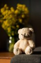 Bamse Rulle Teddy | Hilda