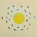Birds Circling Sun Plakat / 40x40