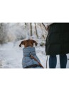 Hunter Dogcoat Paxson Dachshund 33 Blue (203512)