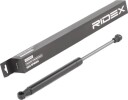 RIDEX 219G0744 Baklukedemper