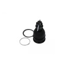 Bærekule KAVO PARTS SBJ-2003