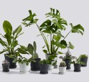 Hay Flowerpot potteskjuler L sort